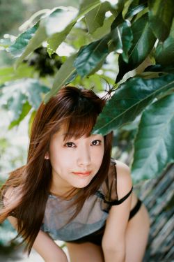 欧美清高vincents